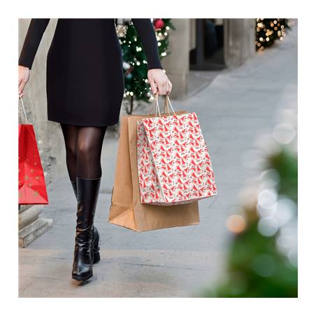 SAC SOS SANS ANSES 'SANTA' 80 G/M2 26+14x32 CM BLANC CELLULOSE (250 UNITÉ)