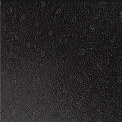 Image ARMOIRE ISOTHERME 93 L 64,5x44,5x62,5 CM NOIR EPP (1 UNITÉ) #6