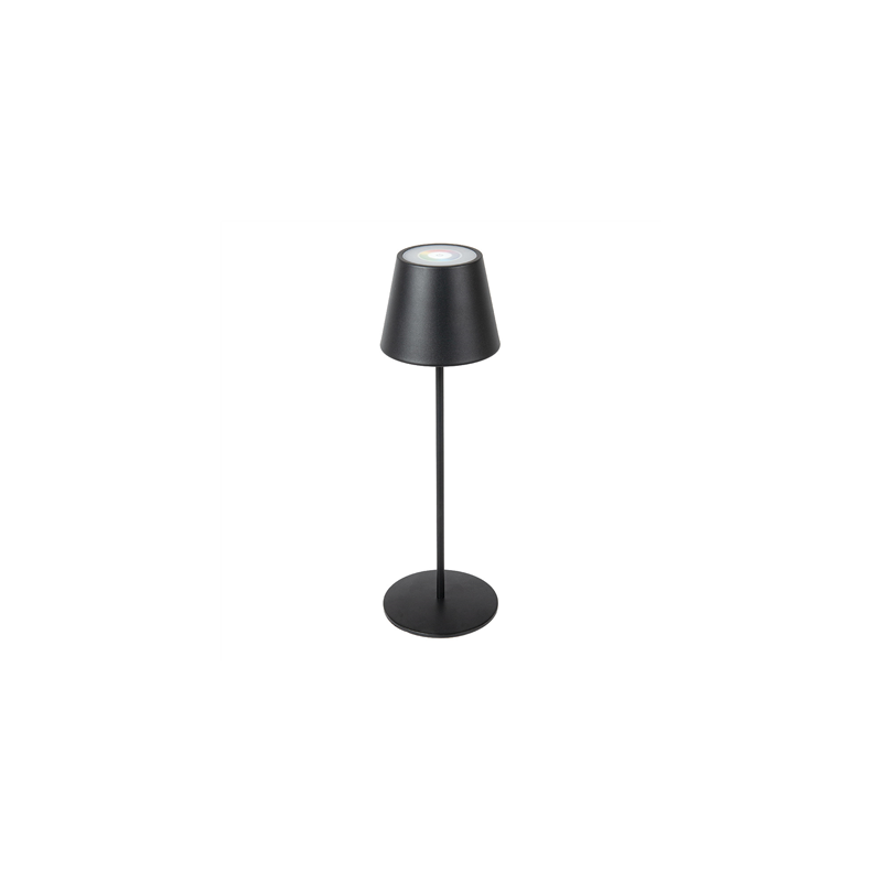 LAMPE LED SANS FIL + VARIATEUR 4000 mAH Ø 12x38 CM NOIR METAL (1 UNITÉ)