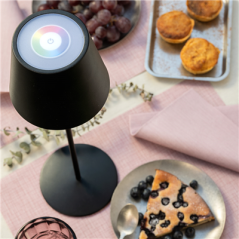 Image LAMPE LED SANS FIL + VARIATEUR 4000 mAH Ø 12x38 CM NOIR METAL (1 UNITÉ) #5