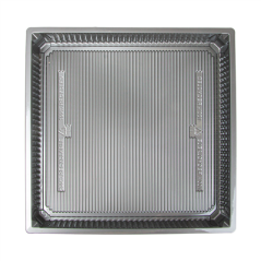 Image RÉCIPIENTS POUR "SUSHI" 1473 ML 26,5x26,5x3 CM ARGENTE RPET (140 UNITÉ) #3