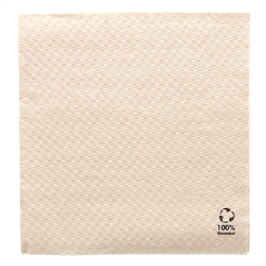 Image SERVIETTES ECOLABEL 1 PLI  23 G/M2 30x30 CM NATUREL OUATE RECYCLÉE (2400 UNITÉ) #1