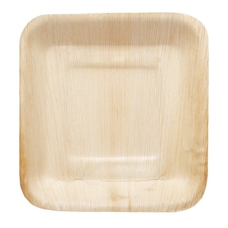 Image ASSIETTE EKOPALM 240 #1