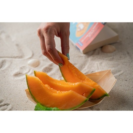 BARQUETTE PIROGUE 210