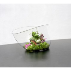 Image BOL ORGANIC 55CL #1