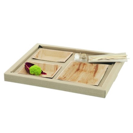 PLATEAU BIODINE VERSION B + COUVERCLE RPET