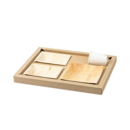 Image PLATEAU BIODINE VERSION B + COUVERCLE CARTON NOIR #1