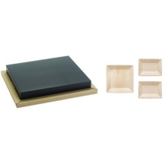 PLATEAU BIODINE VERSION B + COUVERCLE CARTON NOIR