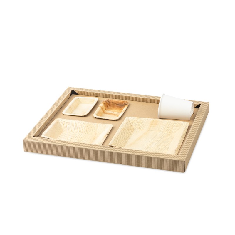 PLATEAU BIODINE VERSION A + COUVERCLE CARTON NOIR PLATEAU BIODINE VERSION A + COUVERCLE CARTON NOIR