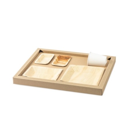 Image PLATEAU BIODINE VERSION A + COUVERCLE CARTON NOIR #1