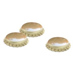 Image CAPSULE GINTO #1