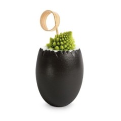 Image OVEO NOIR 5CL #1