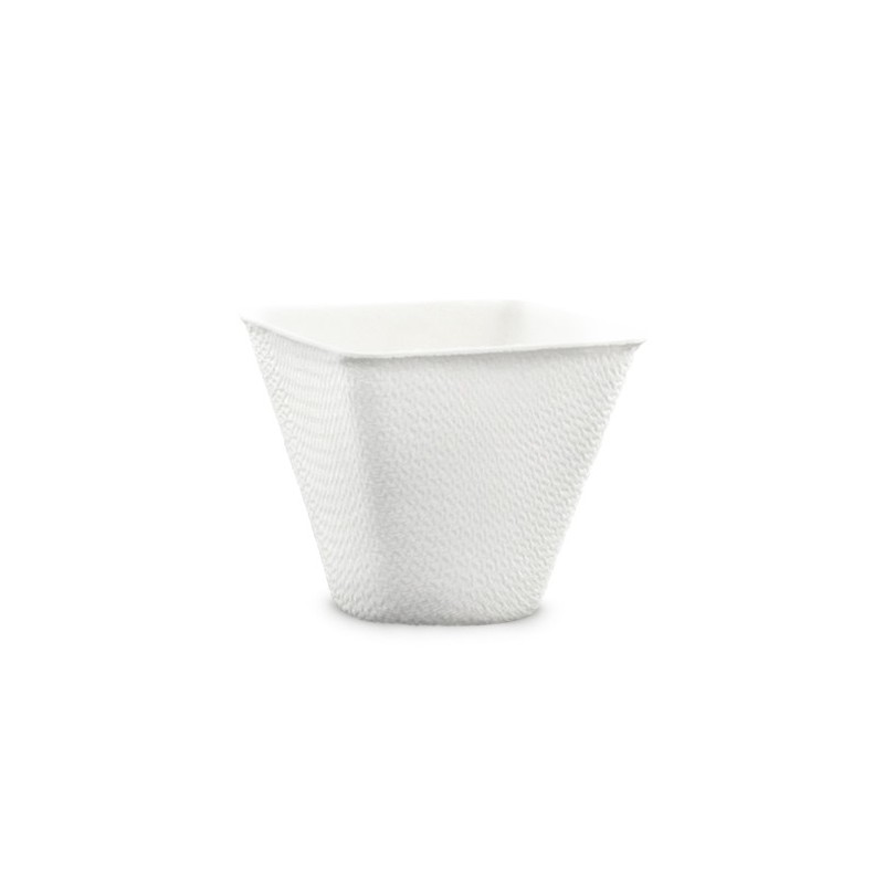 VERRINE KOVA BAGASSE 6CL VERRINE KOVA BAGASSE 6CL