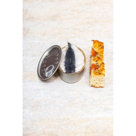 Image MINICAN OVA 12CL #1