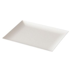 Image PLATEAU KOMODO GN 1/2 #1