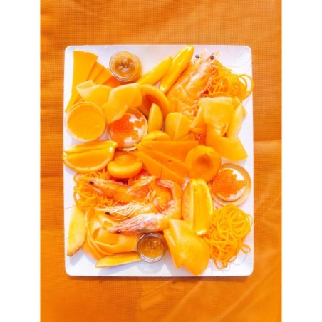 PLATEAU KOMODO GN 1/2