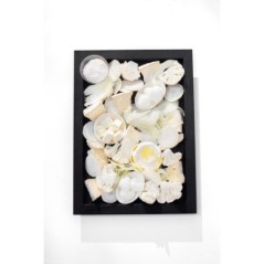 PLATEAU STONE ATLAS 1/1 NOIR