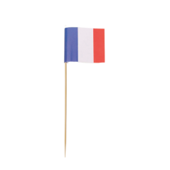 Image STICK DRAPEAU FRANCE #1