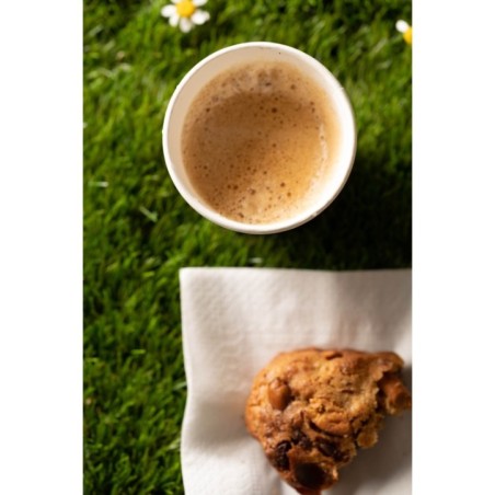 SERVIETTE BLANCHE 2 PLIS