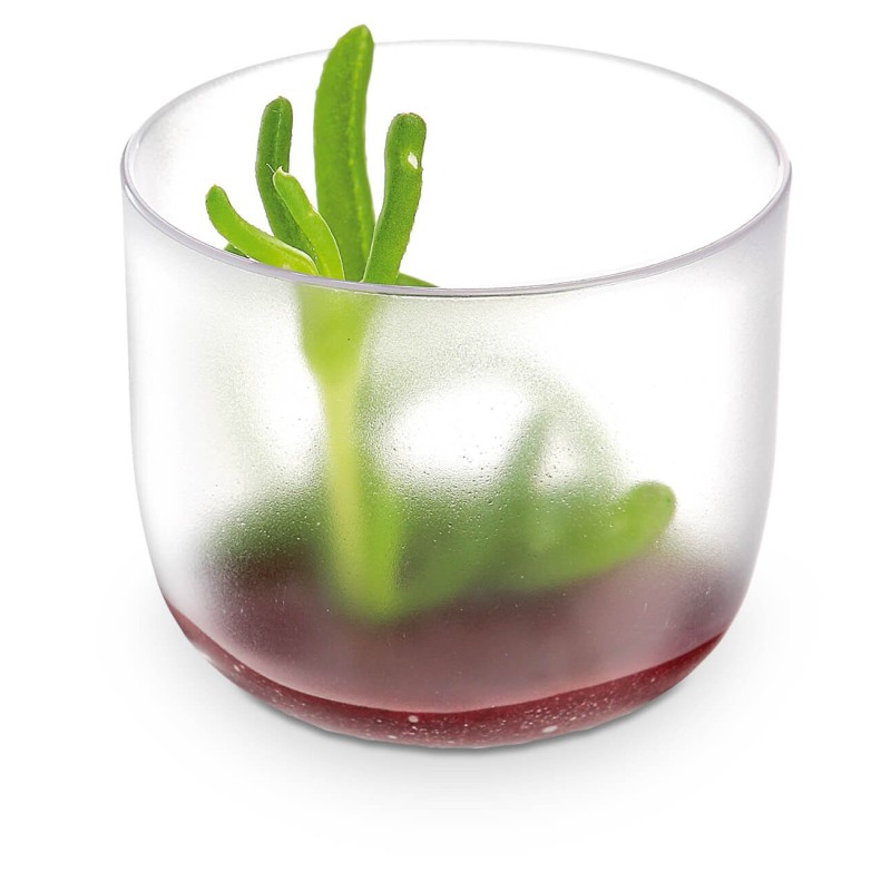 VERRINE GIRO GIVRÉE 6CL VERRINE GIRO GIVRÉE 6CL